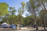 Camping Bella Vista*** Calvi Corse