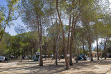 Camping Bella Vista*** Calvi Corse