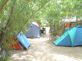 clé des champs calvi
