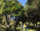 Casa di Luna