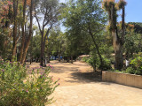 la Pinède camping 4 étoiles à Calvi