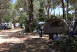la Pinède
