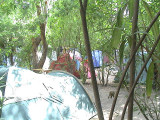 camping 2 étoiles à Calvi