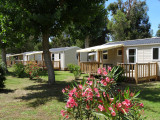 camping 3 étoiles à Algajola - Aregno Plage
