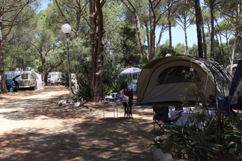 la Pinède - © la Pinède la Pinède