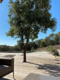 Villas Celia