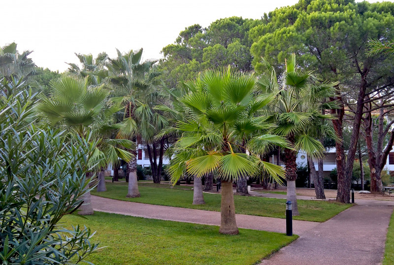 Verot Maria Stella Calvi Corse Verot Maria Stella Calvi Corse